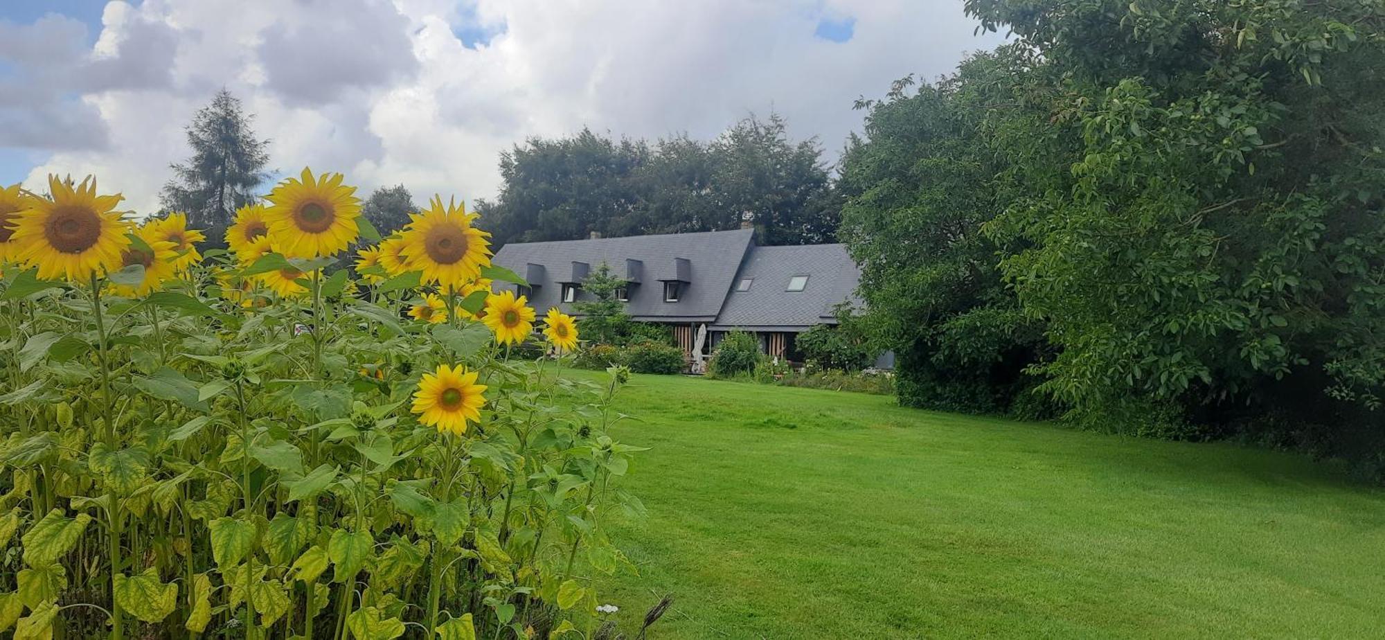 Le Lit De La Saane Bed & Breakfast Auzouville-sur-Saane Luaran gambar